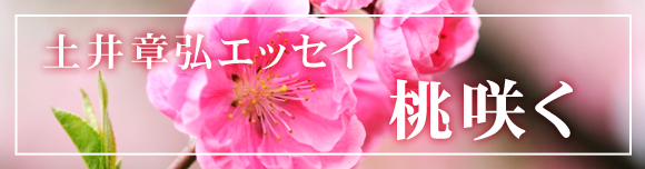 土井章弘エッセイ「桃咲く」